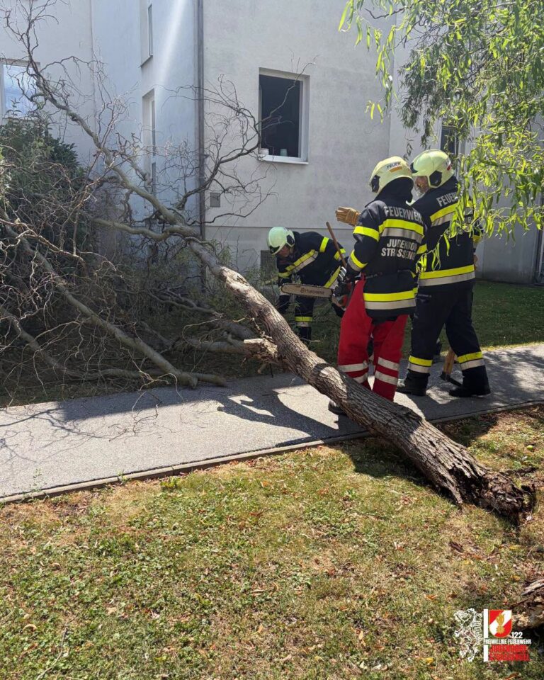19.07.2026, T01 Baum über Straße
