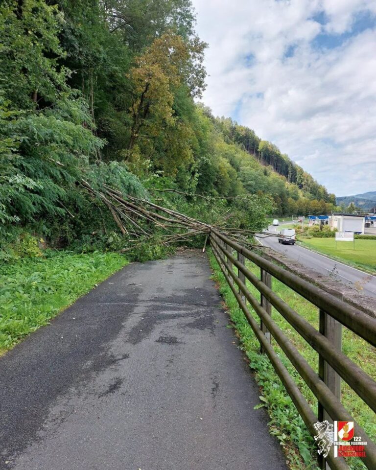 29.08.2026, T01 Baum über Radweg